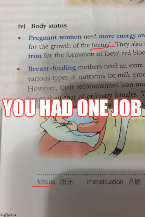 I found this when revisioning Biology   | YOU HAD ONE JOB | image tagged in you had one job,biology,books,memes | made w/ Imgflip meme maker