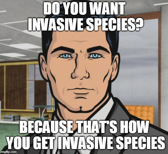 Archer Meme | DO YOU WANT INVASIVE SPECIES? BECAUSE THAT'S HOW YOU GET INVASIVE SPECIES | image tagged in memes,archer | made w/ Imgflip meme maker