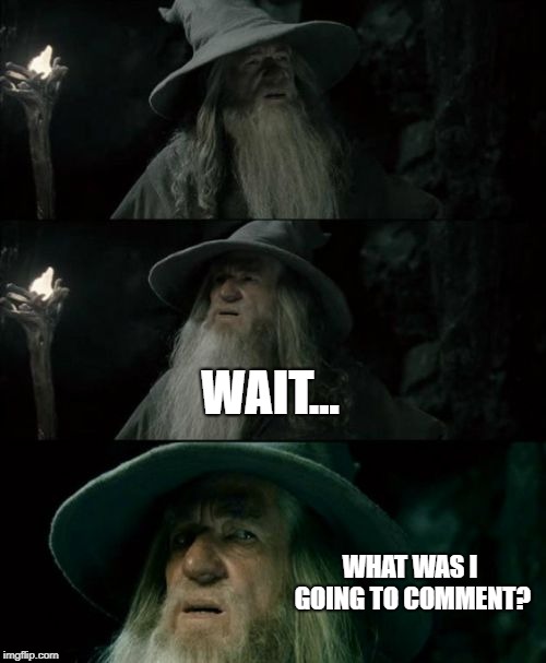 Confused Gandalf Meme | WAIT... WHAT WAS I GOING TO COMMENT? | image tagged in memes,confused gandalf | made w/ Imgflip meme maker