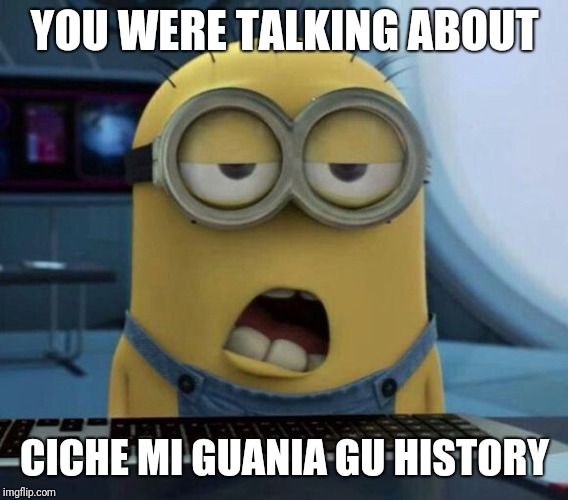Sleepy Minion | YOU WERE TALKING ABOUT CICHE MI GUANIA GU HISTORY | image tagged in sleepy minion | made w/ Imgflip meme maker