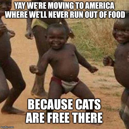 Third World Success Kid | YAY WE’RE MOVING TO AMERICA WHERE WE’LL NEVER RUN OUT OF FOOD; BECAUSE CATS ARE FREE THERE | image tagged in memes,third world success kid | made w/ Imgflip meme maker