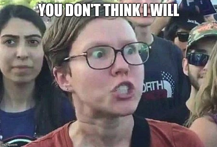 Triggered Liberal | YOU DON'T THINK I WILL | image tagged in triggered liberal | made w/ Imgflip meme maker