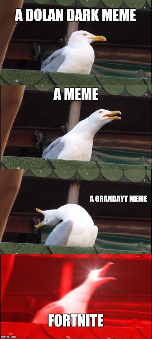 Inhaling Seagull | A DOLAN DARK MEME; A MEME; A GRANDAYY MEME; FORTNITE | image tagged in memes,inhaling seagull | made w/ Imgflip meme maker
