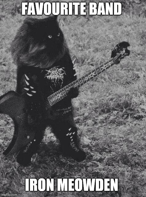 Black Metal Cat | FAVOURITE BAND; IRON MEOWDEN | image tagged in black metal cat | made w/ Imgflip meme maker