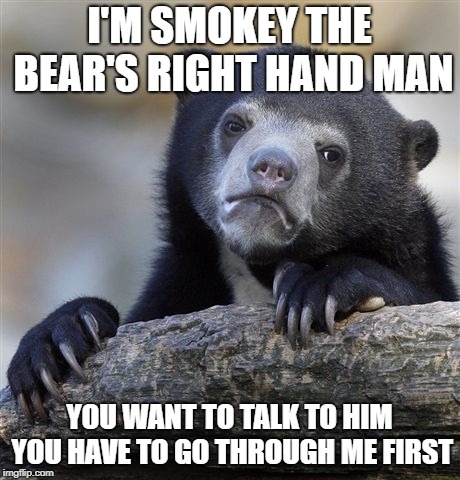 Confession Bear Meme | I'M SMOKEY THE BEAR'S RIGHT HAND MAN; YOU WANT TO TALK TO HIM YOU HAVE TO GO THROUGH ME FIRST | image tagged in memes,confession bear | made w/ Imgflip meme maker