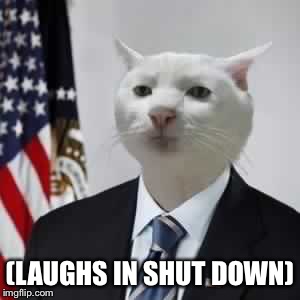 Gubment employees  | (LAUGHS IN SHUT DOWN) | image tagged in governmentbeuracat | made w/ Imgflip meme maker