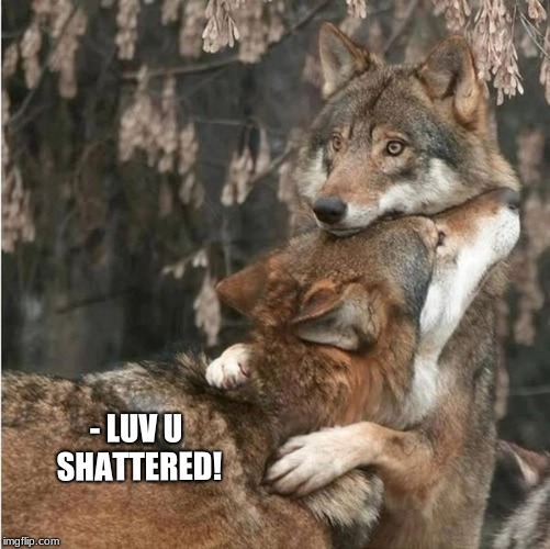 LuvUGirl! | - LUV U SHATTERED! | image tagged in wolf,love,i love you,hugs,kisses | made w/ Imgflip meme maker