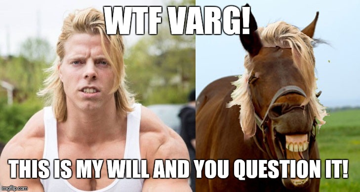 WTF VARG! THIS IS MY WILL AND YOU QUESTION IT! | image tagged in wtf varg | made w/ Imgflip meme maker