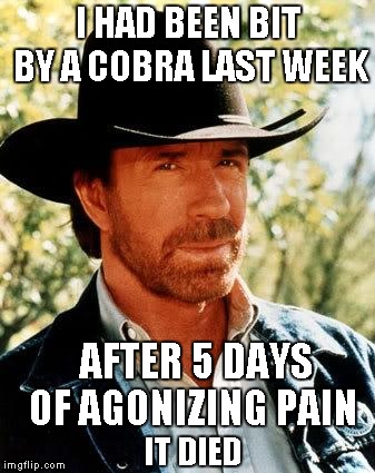 Chuck Norris | I HAD BEEN BIT BY A COBRA LAST WEEK; AFTER 5 DAYS OF AGONIZING PAIN; IT DIED | image tagged in memes,chuck norris | made w/ Imgflip meme maker