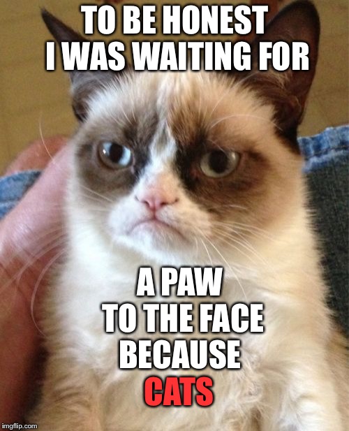 Grumpy Cat Meme | TO BE HONEST I WAS WAITING FOR A PAW TO THE FACE BECAUSE CATS | image tagged in memes,grumpy cat | made w/ Imgflip meme maker