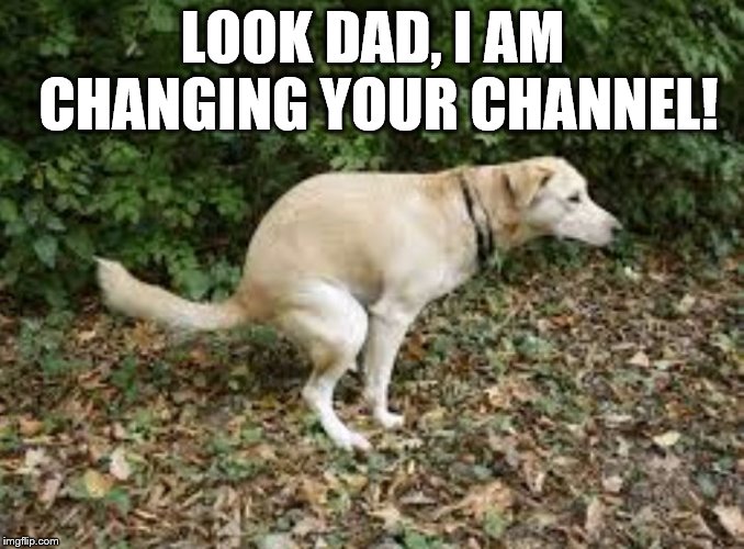 Dog pooping  | LOOK DAD, I AM CHANGING YOUR CHANNEL! | image tagged in dog pooping | made w/ Imgflip meme maker