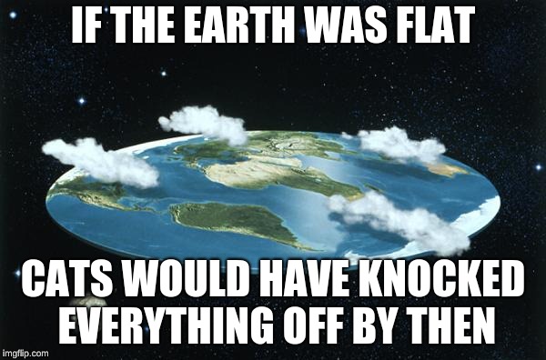 Flat Earth | IF THE EARTH WAS FLAT; CATS WOULD HAVE KNOCKED EVERYTHING OFF BY THEN | image tagged in flat earth | made w/ Imgflip meme maker