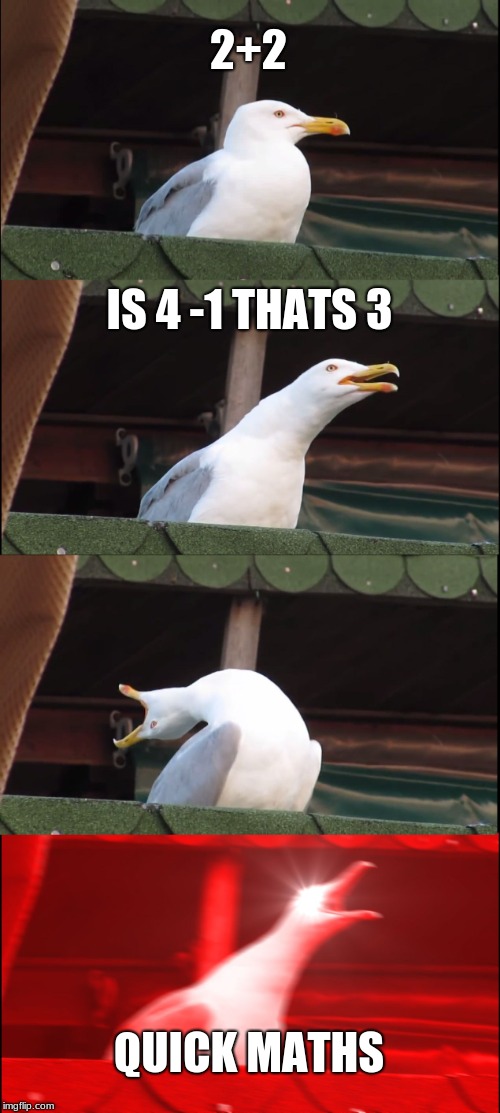 Inhaling Seagull Meme | 2+2; IS 4 -1 THATS 3; QUICK MATHS | image tagged in memes,inhaling seagull | made w/ Imgflip meme maker