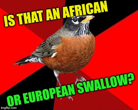IS THAT AN AFRICAN OR EUROPEAN SWALLOW? | made w/ Imgflip meme maker