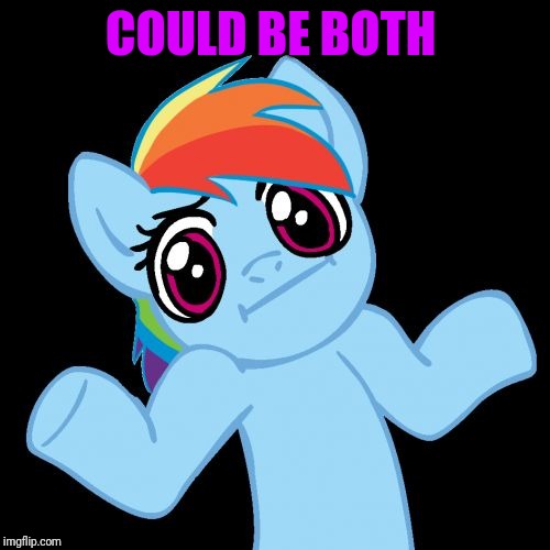 Pony Shrugs Meme | COULD BE BOTH | image tagged in memes,pony shrugs | made w/ Imgflip meme maker
