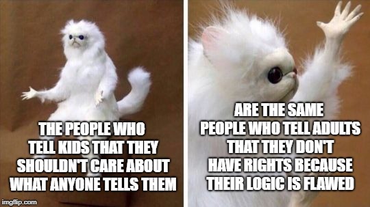 Liberal Logic | ARE THE SAME PEOPLE WHO TELL ADULTS THAT THEY DON'T HAVE RIGHTS BECAUSE THEIR LOGIC IS FLAWED; THE PEOPLE WHO TELL KIDS THAT THEY SHOULDN'T CARE ABOUT WHAT ANYONE TELLS THEM | image tagged in wtf cat,liberal logic,memes,political meme | made w/ Imgflip meme maker