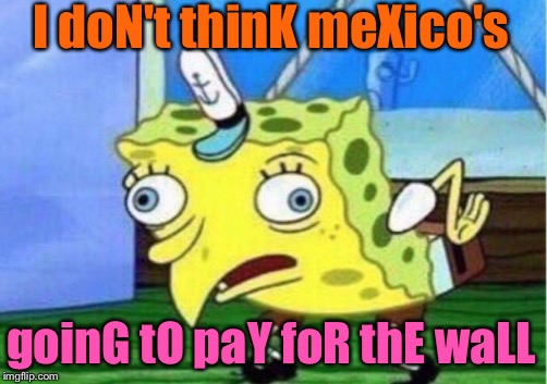 Mocking Spongebob Meme | I doN't thinK meXico's goinG tO paY foR thE waLL | image tagged in memes,mocking spongebob | made w/ Imgflip meme maker
