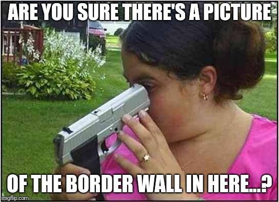 Woman looking down gun barrel | ARE YOU SURE THERE'S A PICTURE; OF THE BORDER WALL IN HERE...? | image tagged in woman looking down gun barrel | made w/ Imgflip meme maker