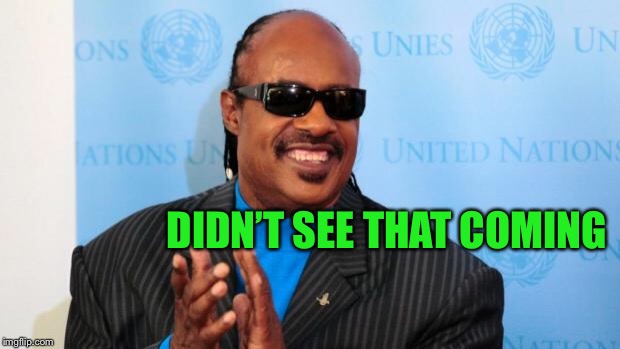 stevie wonder | DIDN’T SEE THAT COMING | image tagged in stevie wonder | made w/ Imgflip meme maker