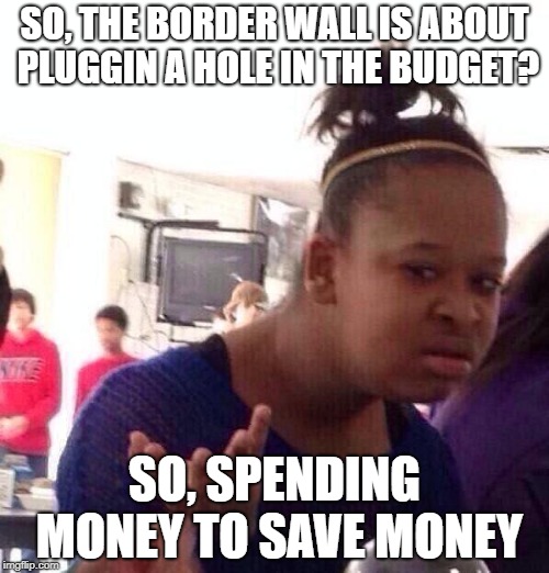 Black Girl Wat Meme | SO, THE BORDER WALL IS ABOUT PLUGGIN A HOLE IN THE BUDGET? SO, SPENDING MONEY TO SAVE MONEY | image tagged in memes,black girl wat | made w/ Imgflip meme maker