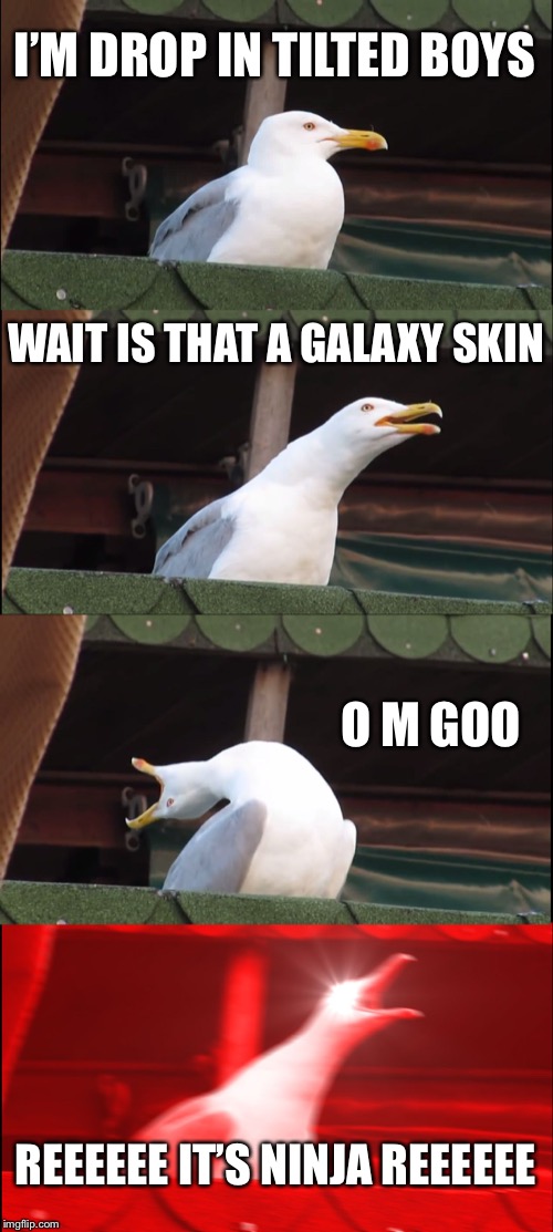 Inhaling Seagull | I’M DROP IN TILTED BOYS; WAIT IS THAT A GALAXY SKIN; O M GOO; REEEEEE IT’S NINJA REEEEEE | image tagged in memes,inhaling seagull | made w/ Imgflip meme maker