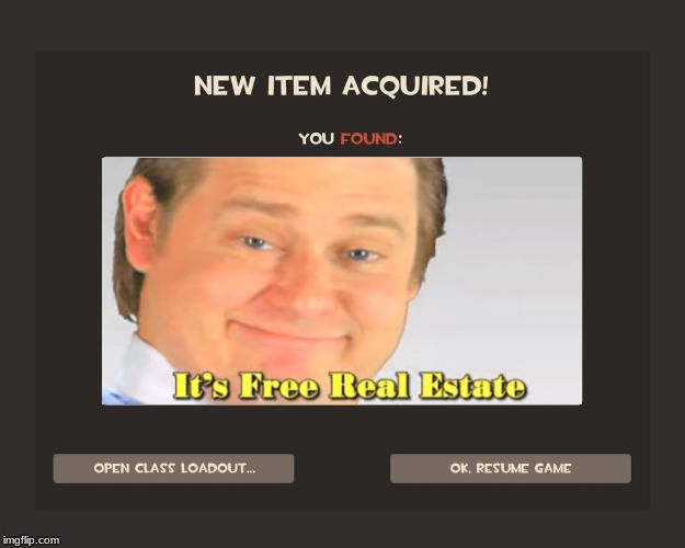You got tf2 shit | image tagged in you got tf2 shit,it's free real estate | made w/ Imgflip meme maker