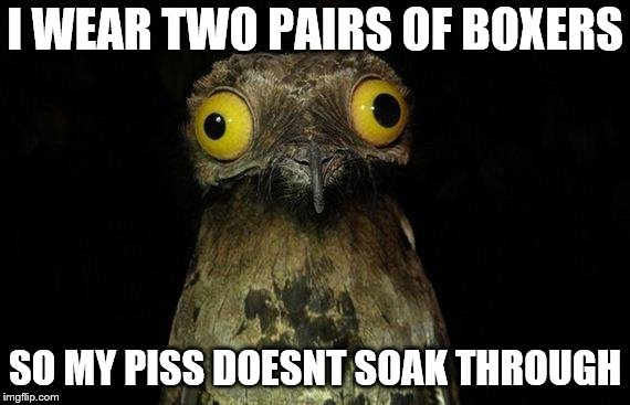 Weird Stuff I Do Potoo Meme | I WEAR TWO PAIRS OF BOXERS SO MY PISS DOESNT SOAK THROUGH | image tagged in memes,weird stuff i do potoo | made w/ Imgflip meme maker
