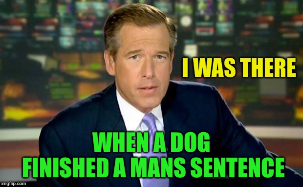 Brian Williams Was There Meme | WHEN A DOG FINISHED A MANS SENTENCE I WAS THERE | image tagged in memes,brian williams was there | made w/ Imgflip meme maker