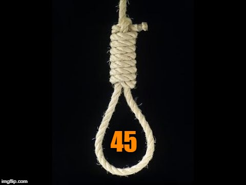 Noose 45 | 45 | image tagged in potus,trump,45,treason,traitor,dnc | made w/ Imgflip meme maker