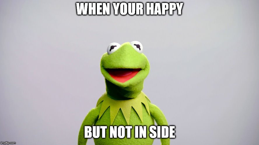 WHEN YOUR HAPPY; BUT NOT IN SIDE | image tagged in funny memes | made w/ Imgflip meme maker