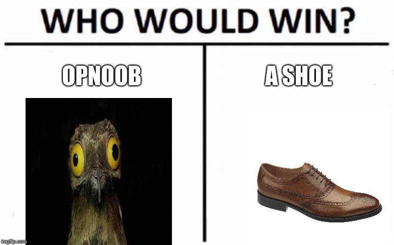 Who Would Win? | OPNOOB; A SHOE | image tagged in memes,who would win | made w/ Imgflip meme maker