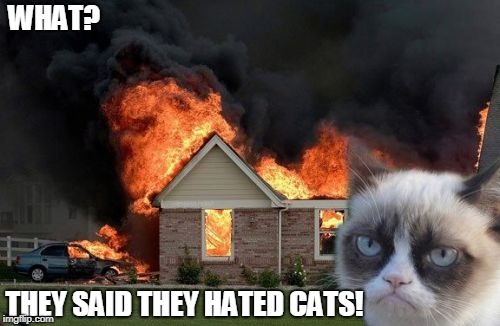 cat burns blown away