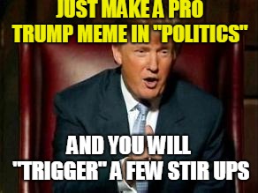 Donald Trump | JUST MAKE A PRO TRUMP MEME IN "POLITICS" AND YOU WILL "TRIGGER" A FEW STIR UPS | image tagged in donald trump | made w/ Imgflip meme maker