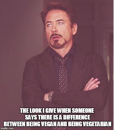 Vegan vs Vegetarian  | THE LOOK I GIVE WHEN SOMEONE SAYS THERE IS A DIFFERENCE BETWEEN BEING VEGAN AND BEING VEGETARIAN | image tagged in memes,face you make robert downey jr,vegan,vegetarian | made w/ Imgflip meme maker