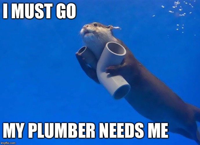 I MUST GO; MY PLUMBER NEEDS ME | made w/ Imgflip meme maker