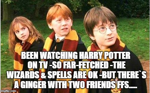 Harry Potter Meme #1 - KidzTalk