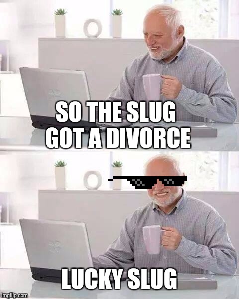 Hide the Pain Harold Meme | SO THE SLUG GOT A DIVORCE LUCKY SLUG | image tagged in memes,hide the pain harold | made w/ Imgflip meme maker