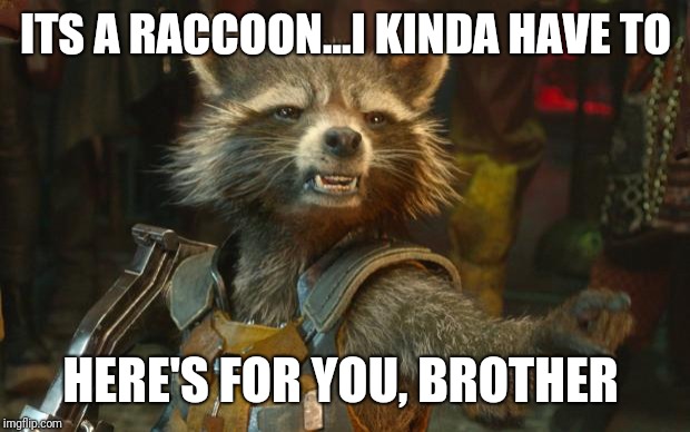 Rocket Raccoon | ITS A RACCOON...I KINDA HAVE TO HERE'S FOR YOU, BROTHER | image tagged in rocket raccoon | made w/ Imgflip meme maker