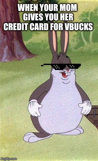 Big Chungus | WHEN YOUR MOM GIVES YOU HER CREDIT CARD FOR VBUCKS | image tagged in big chungus | made w/ Imgflip meme maker