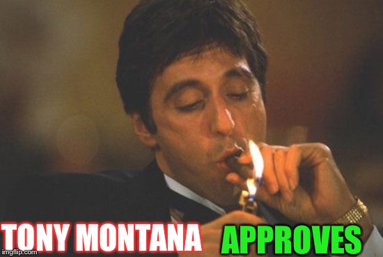 Scarface Serious | TONY MONTANA APPROVES | image tagged in scarface serious | made w/ Imgflip meme maker
