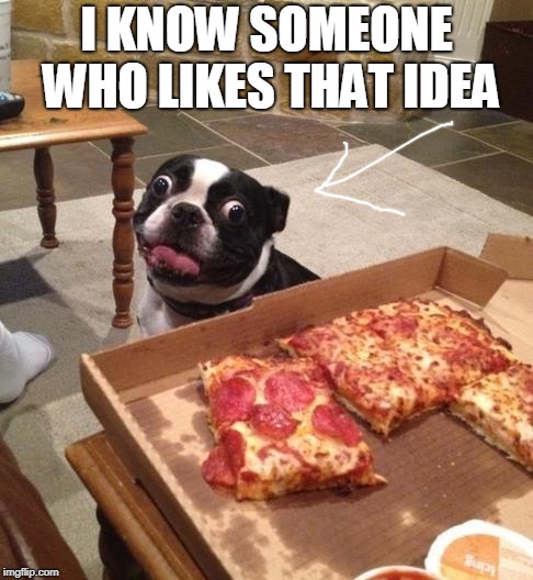 Hungry Pizza Dog | I KNOW SOMEONE WHO LIKES THAT IDEA | image tagged in hungry pizza dog | made w/ Imgflip meme maker