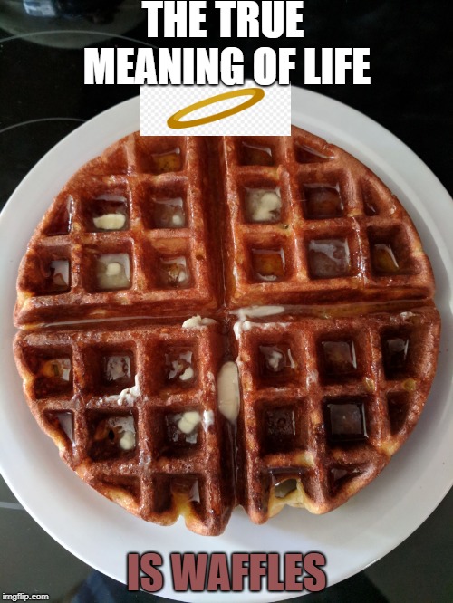 THE TRUE MEANING OF LIFE; IS WAFFLES | image tagged in weekend waffles | made w/ Imgflip meme maker