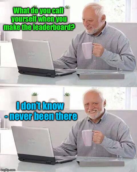 Who knows?   | What do you call yourself when you make the leaderboard? I don’t know - never been there | image tagged in memes,hide the pain harold,leaderboard,call yourself,funny memes | made w/ Imgflip meme maker