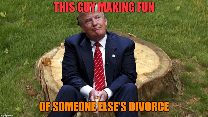 our president | THIS GUY MAKING FUN; OF SOMEONE ELSE'S DIVORCE | image tagged in trump on a stump | made w/ Imgflip meme maker