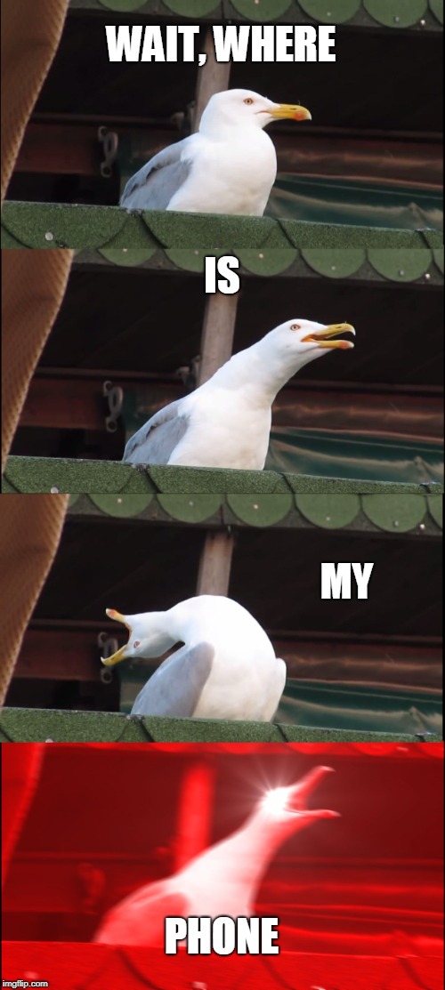Inhaling Seagull Meme | WAIT, WHERE; IS; MY; PHONE | image tagged in memes,inhaling seagull | made w/ Imgflip meme maker