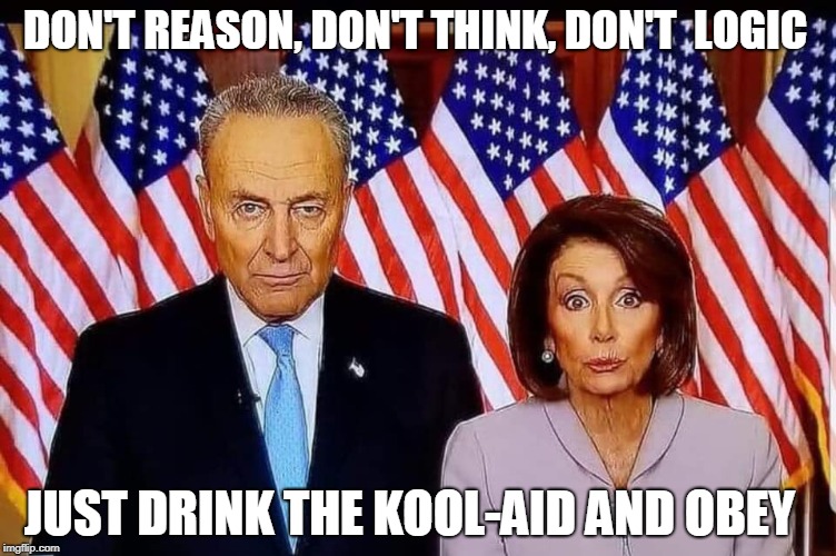 Chuck and Nancy | DON'T REASON, DON'T THINK, DON'T  LOGIC; JUST DRINK THE KOOL-AID AND OBEY | image tagged in chuck and nancy,obey,memes,kool-aid,nancy pelosi,chuck schumer | made w/ Imgflip meme maker