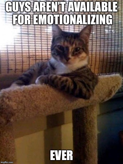 The Most Interesting Cat In The World Meme | GUYS AREN’T AVAILABLE FOR EMOTIONALIZING EVER | image tagged in memes,the most interesting cat in the world | made w/ Imgflip meme maker
