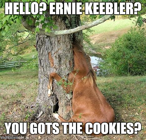 real horses | HELLO? ERNIE KEEBLER? YOU GOTS THE COOKIES? | image tagged in real horses | made w/ Imgflip meme maker