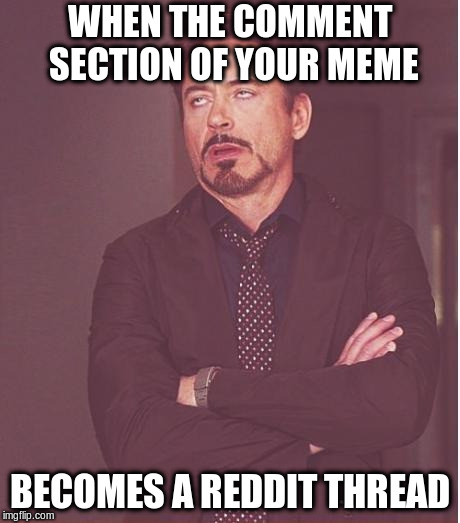 Face You Make Robert Downey Jr Meme | WHEN THE COMMENT SECTION OF YOUR MEME; BECOMES A REDDIT THREAD | image tagged in memes,face you make robert downey jr | made w/ Imgflip meme maker