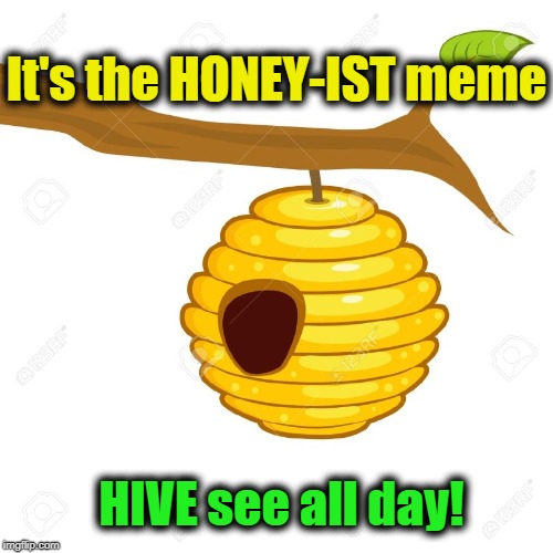 It's the HONEY-IST meme HIVE see all day! | made w/ Imgflip meme maker